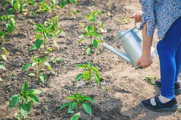 Require The Most Water