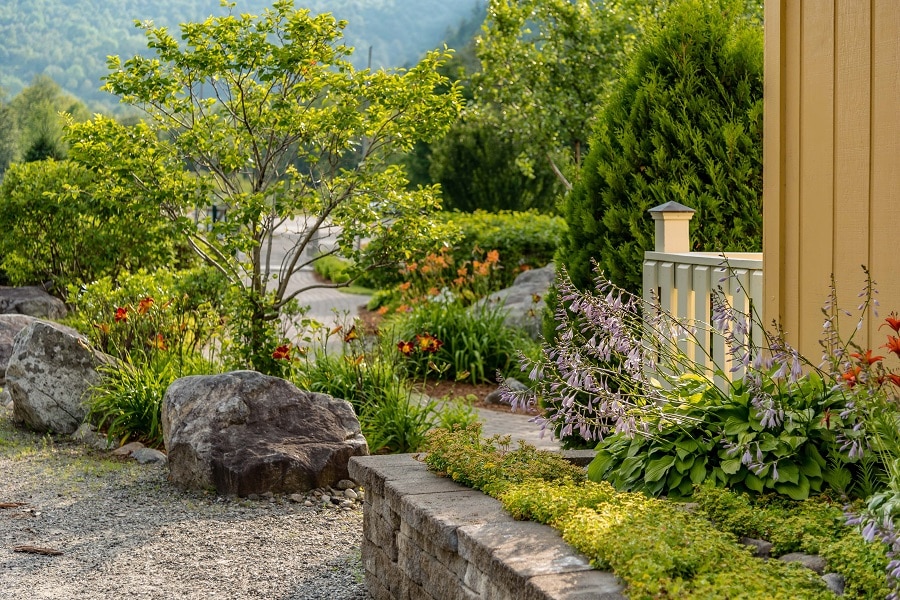 Landscape Designs
