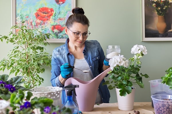 Reasons Your Houseplants Die