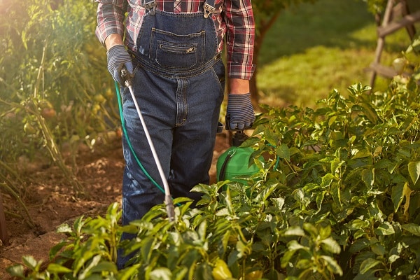 Using Pesticides In Your Garden