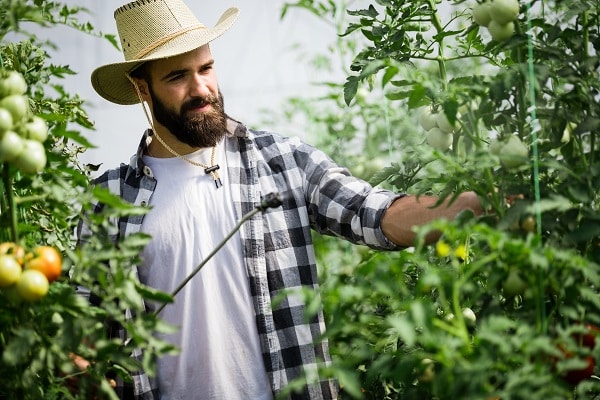 Using Pesticides In Your Garden