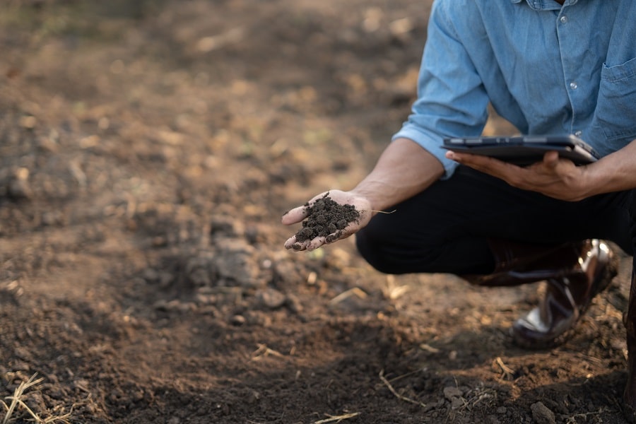 Soil Test Kits