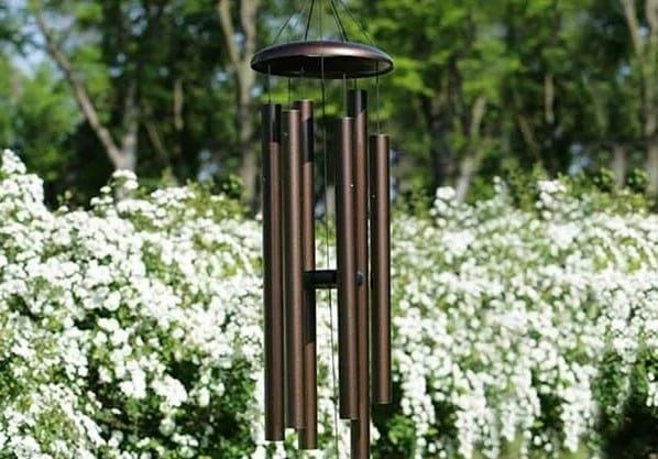 Keep Deer Out Of Your Garden
