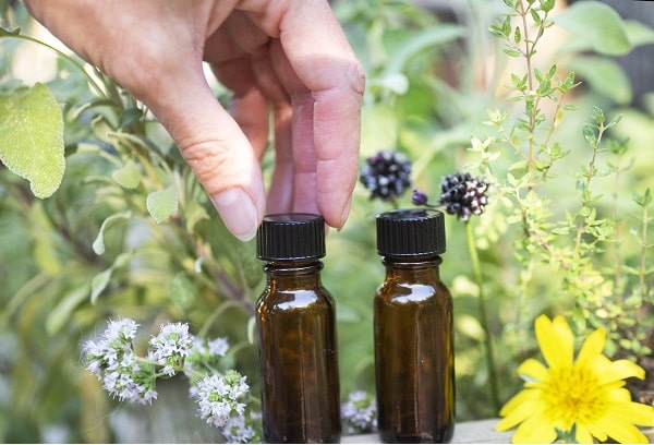 Keep Deer Out Of Your Garden