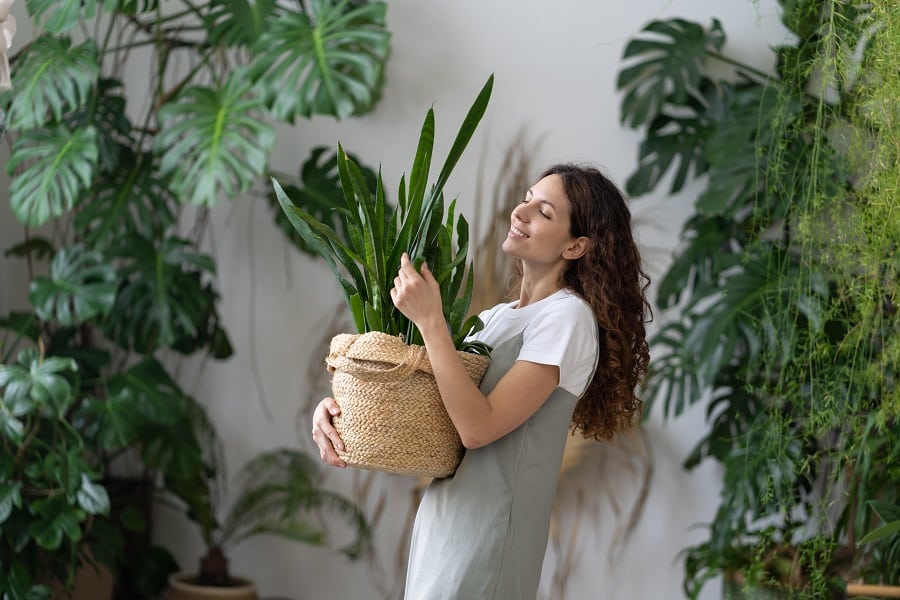 Move Your Garden Indoors