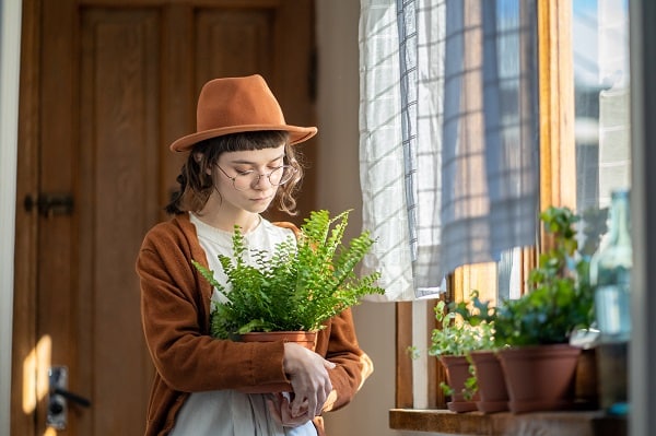 Move Your Garden Indoors