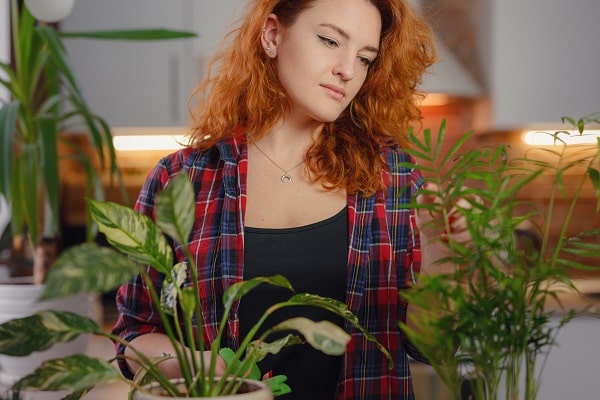 Move Your Garden Indoors