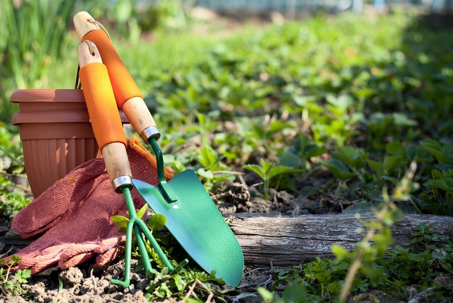 Gardening