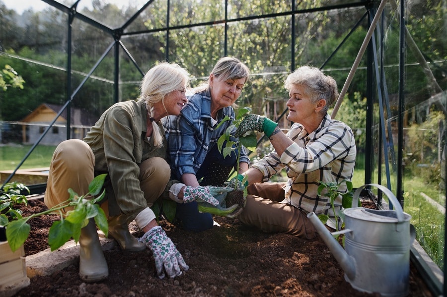 Green Thumb