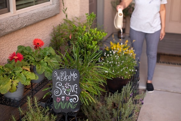 Garden Plants