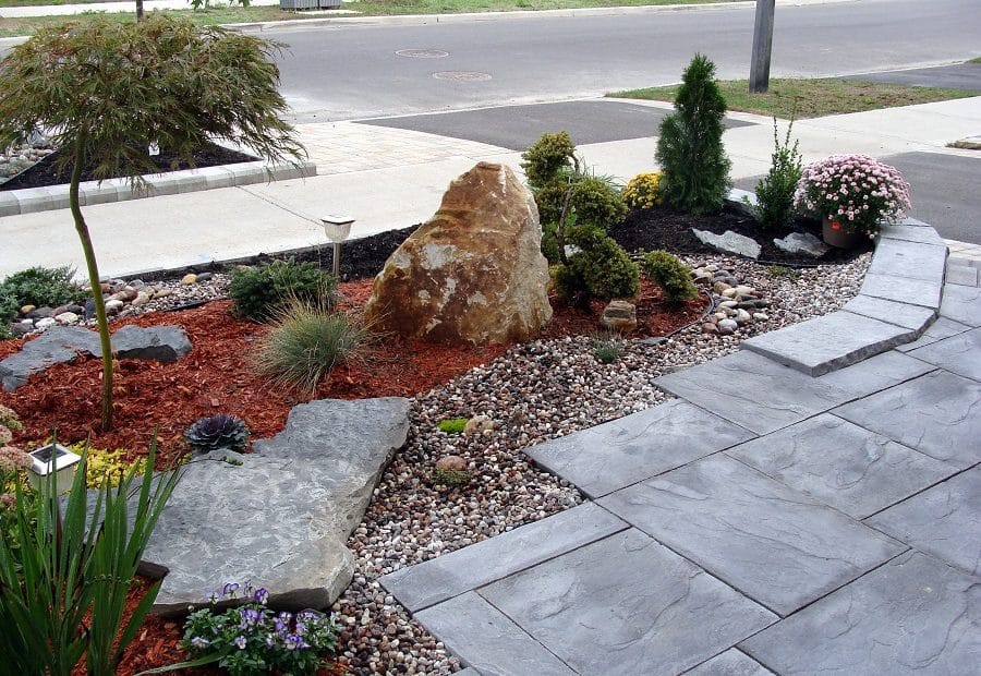 Rock Garden Plants