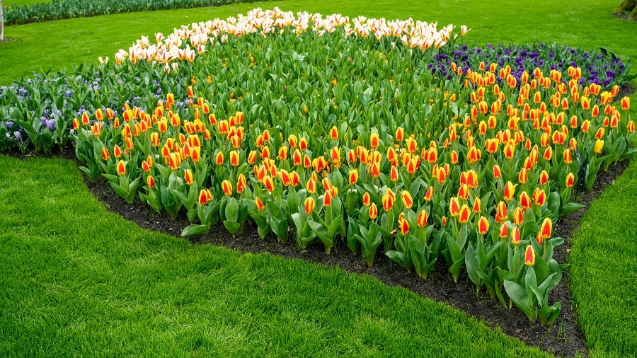 Garden Landscaping
