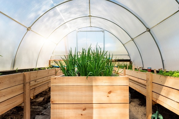 Greenhouse