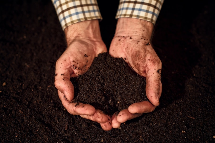 Soil Quality