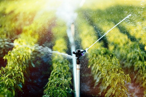 Irrigation