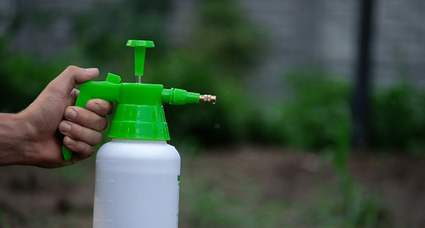 Minimize Weeds In Your Grass