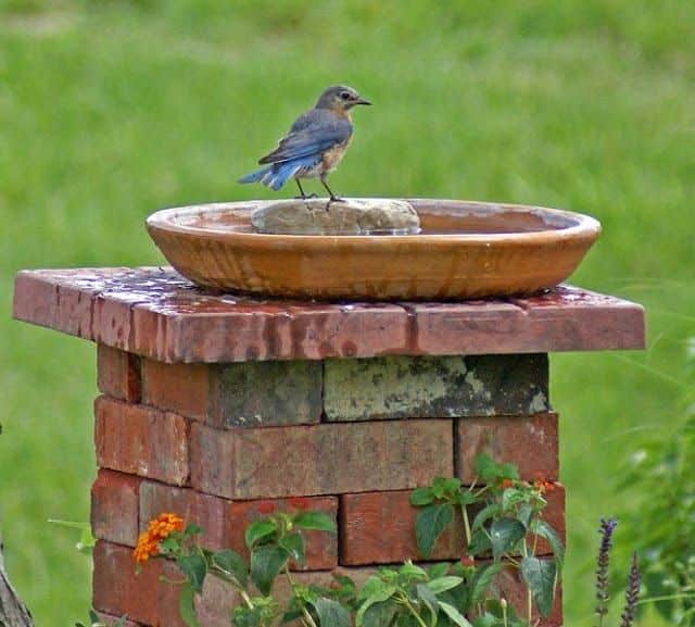 Unique Ideas For DIY Garden Ornaments