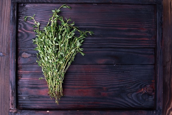 Plants That Attract Pests