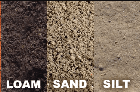 Soil Types For Water-Loving Plants
