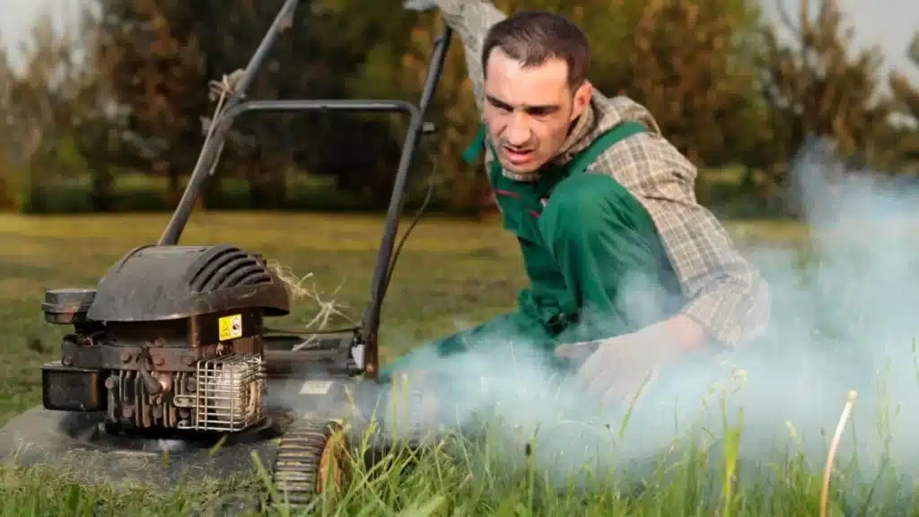 Shocking Secrets Your Lawn is Hiding