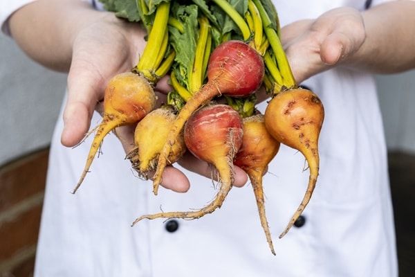 Heirloom Vegetables