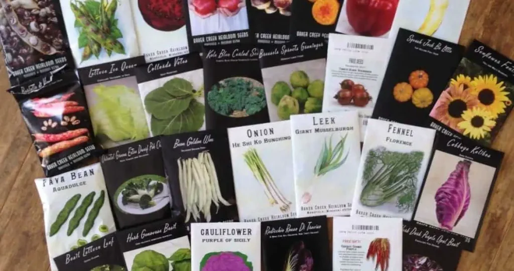 8 Gardening Tasks To Prepare For Early Spring Planting