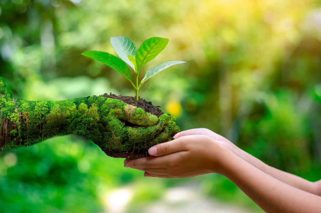 Why Permaculture Is The Future Of Home Gardening