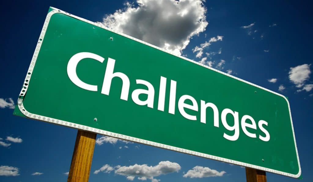 Why Permaculture Is The Future Of Home Gardening