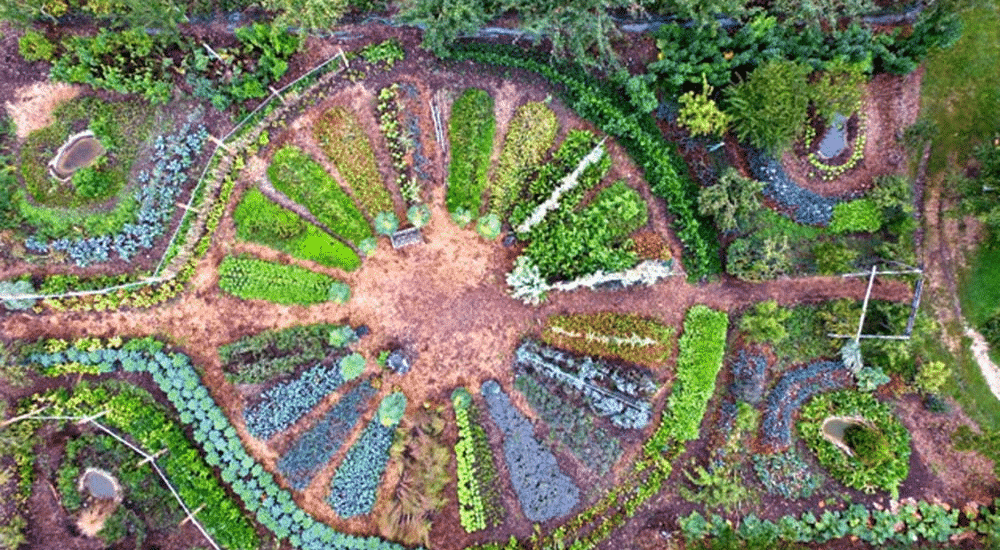 Why Permaculture Is The Future Of Home Gardening