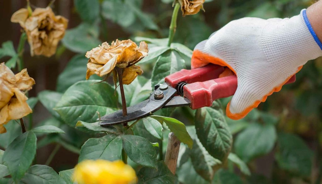 8 Gardening Tasks To Prepare For Early Spring Planting