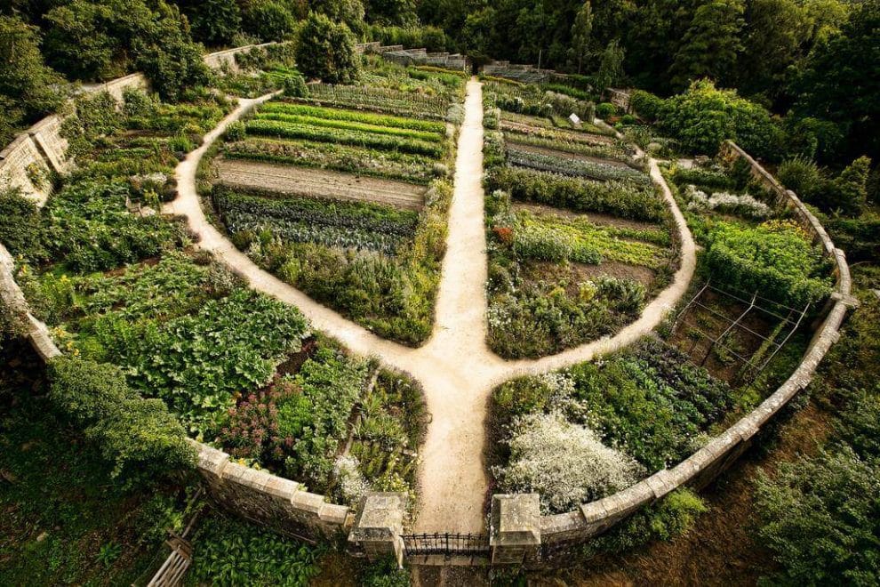 Why Permaculture Is The Future Of Home Gardening