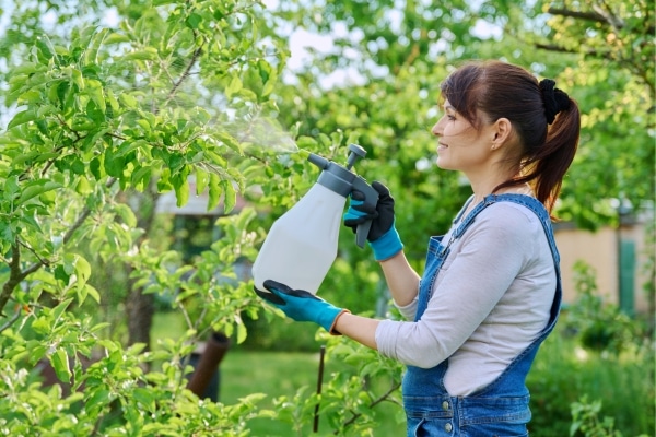 Terrifying Truths About Organic Gardening