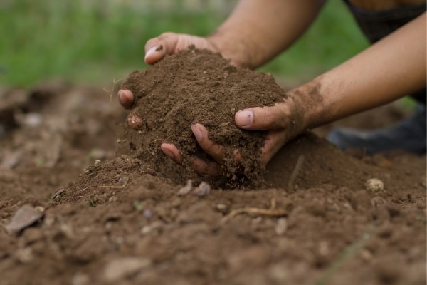 Terrifying Truths About Organic Gardening