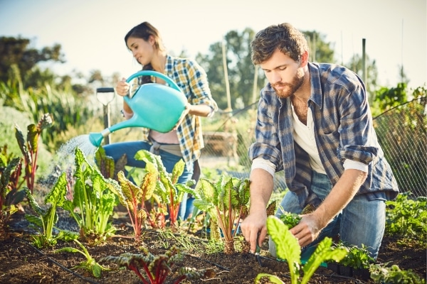 Terrifying Truths About Organic Gardening