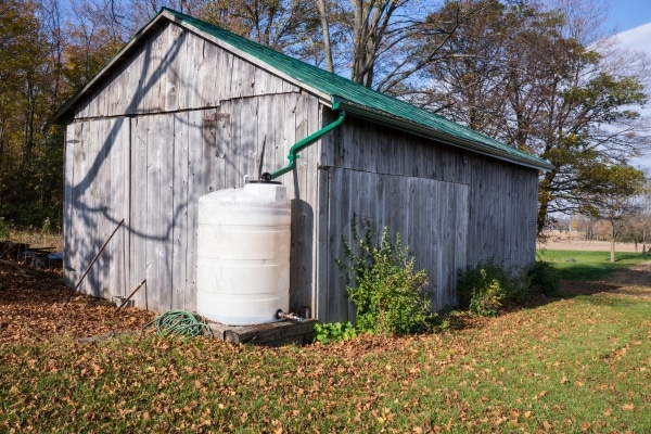 Harvest Rainwater for Your Garden