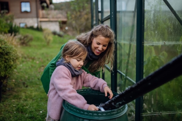 Harvest Rainwater for Your Garden