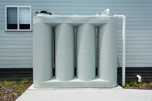 Harvest Rainwater for Your Garden