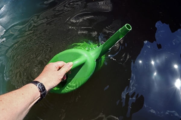 Harvest Rainwater for Your Garden