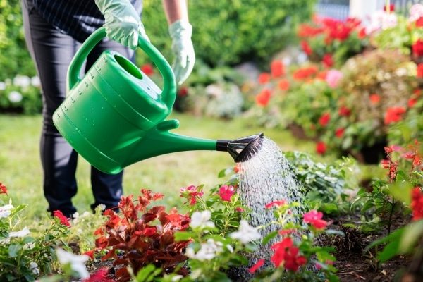 Secrets Every Successful Gardener Knows