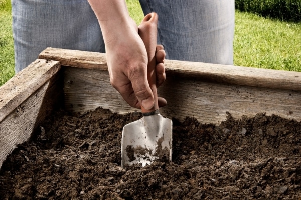 How to Build a Weatherproof Garden