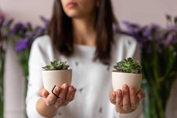 Woman holding succulent plants