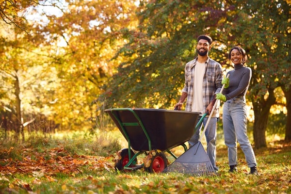 Leaves have many uses. Young Couple gathering leaves